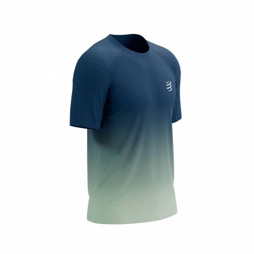 Camiseta Compressport Performance SS Azul Cinza