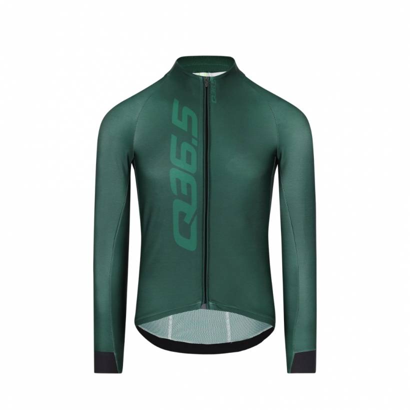 Maillot Q36.5 Gregarius Hybrid Signature Manga Larga Verde